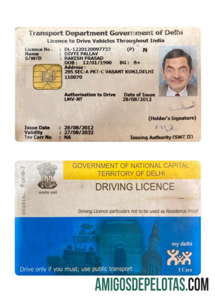 Carta de condução de Delhi na Índia amostra